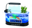 2012A Desktop Aquarium		